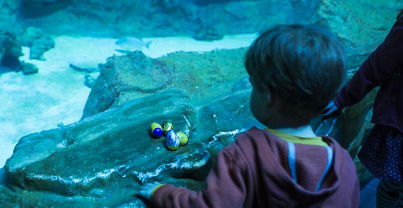 Dimanche de Pâques, chasse aux oeufs à l'aquarium de Paris