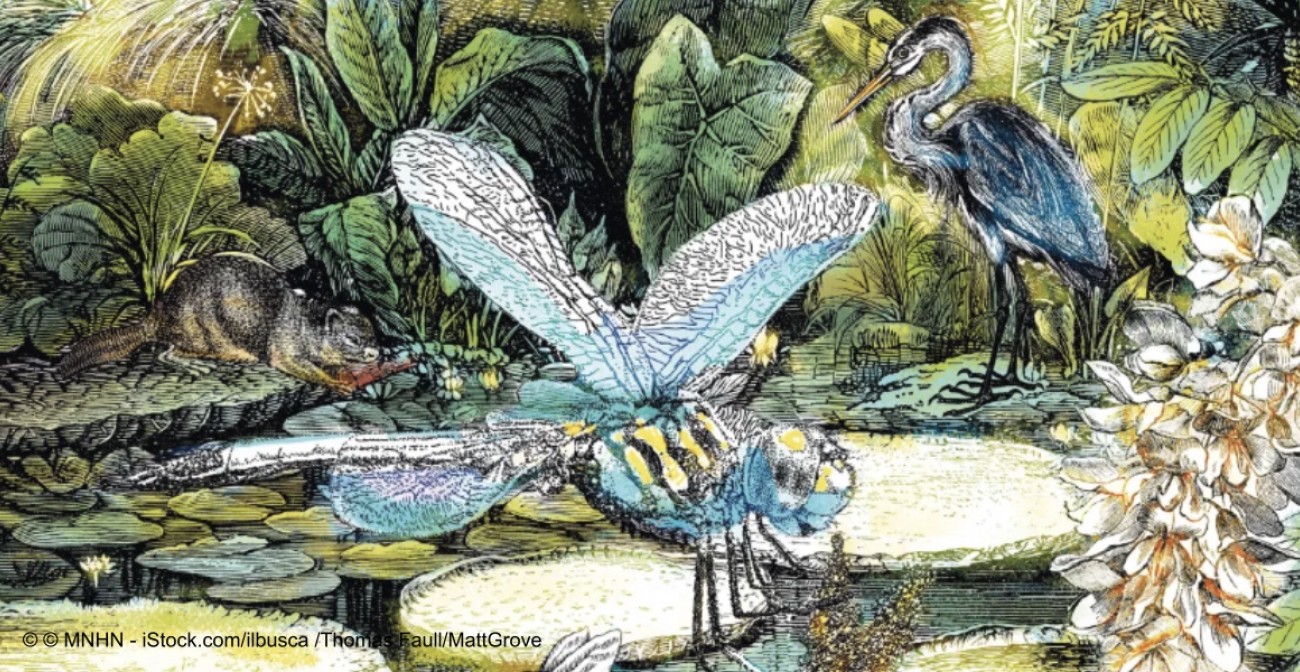 Fête de la nature Paris