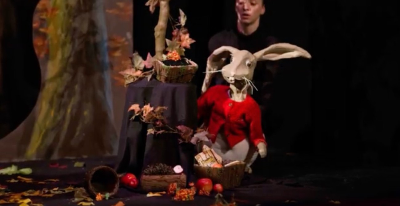 Loulou, spectacle enfant Loulou, Grégoire Solotareff. Excellent spectacle pour les 4-8 ans et très pédagogique.