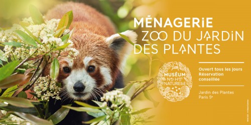 La ménagerie du Jardin des Plantes, un lieu de découverte et d’éducation à la biodiversité 