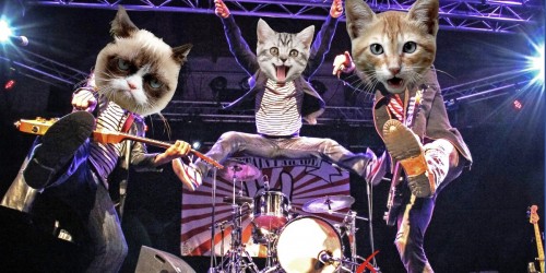 Captain Parade sort les griffes pour un concert rock... pour enfants ! 