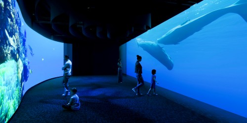 Gagnez des places pour L’Odyssée sensorielle, la nouvelle grande exposition immersive du Jardin des Plantes