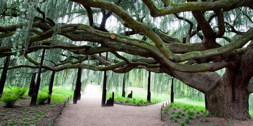 Une après-midi à l’arboretum de la Vallée aux Loups et sur les pas de Chateaubriand