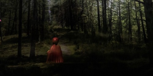 Le Petit Chaperon rouge, collectif Das Plateau, pour grandir, frissonner et beaucoup rêver.