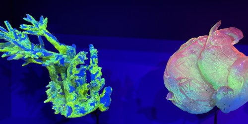 Digital Abysses, une exposition digitale qui vous plonge au coeur d'un océan imaginaire