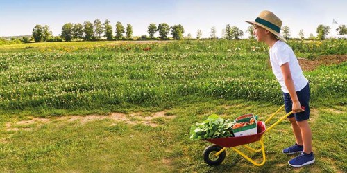 La ferme de Viltain, venez cueillir vos fruits et légumes de saison 