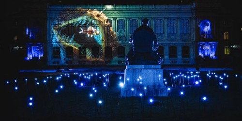 En voie d'illumination, partez à la découverte découverte des lumières émises par la nature