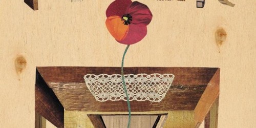 Il faut une fleur, ou la logique des choses 