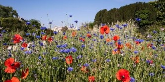 Jardin des Plantes