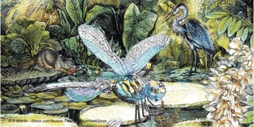 Fête de la nature au Jardin des Plantes, des ateliers, spectacles et visites guidées