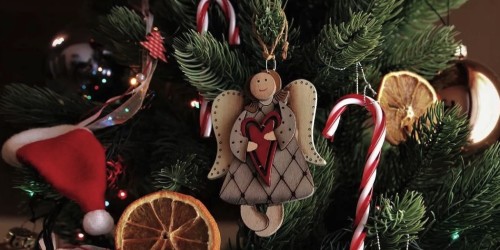 Week-end de Noël à la Citéco, plongez dans l’univers féérique des contes et des esprits,