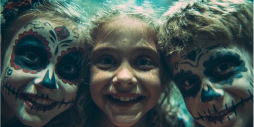 La Fête des Morts et des Vivants à l'Aquarium tropical du Palais de la Porte Dorée