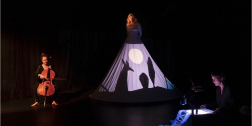 Peau d'âne, la magie du conte est restituée en ombre et musique