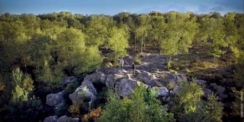 Une journée en plein air autour de Fontainebleau: chasse au trésor, escalade et découverte artistique