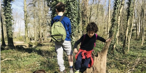 Pouce ! Vive la nature, pour une (re)connexion avec le vivant à Paris. Tous les dimanches