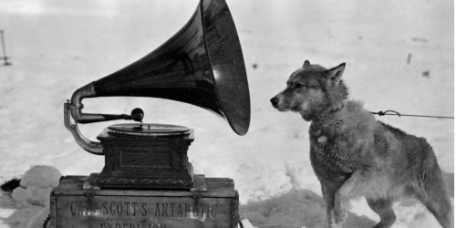 L'épopée du Capitaine Scott, le spectacle qui retrace l'épopée du grand explorateur
