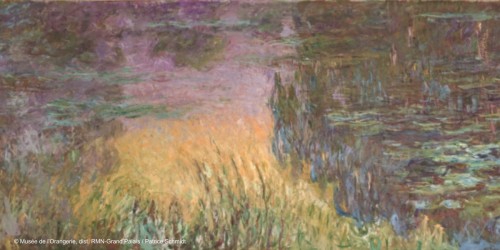 La visite bébés, du musée de l'Orangerie, en immersion dans le jardin de Claude Monet 